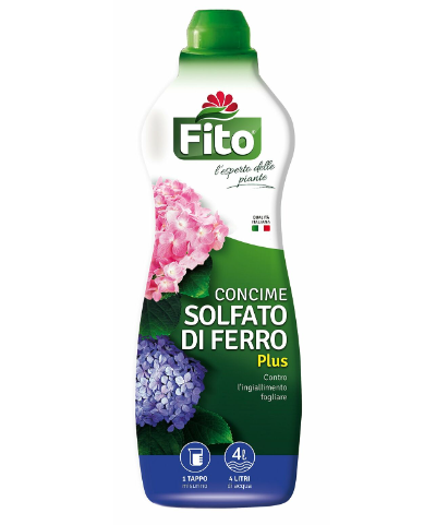 Concime solfato di ferro plus Fito