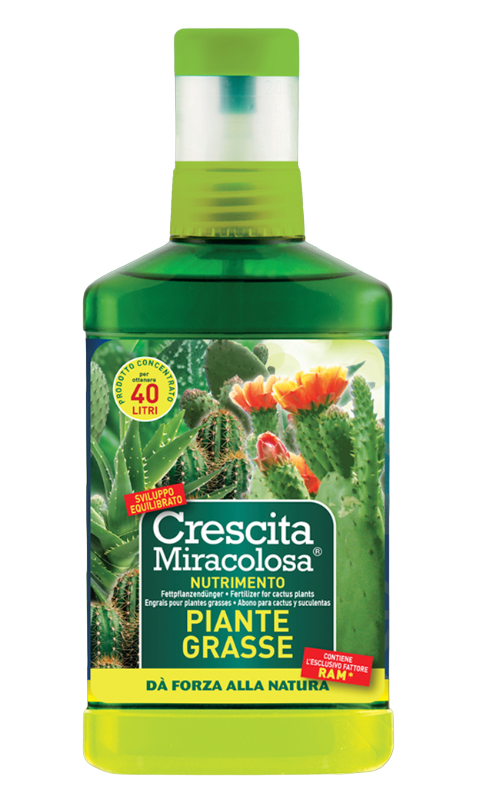 Crescita miracolosa nutrimento piante grasse