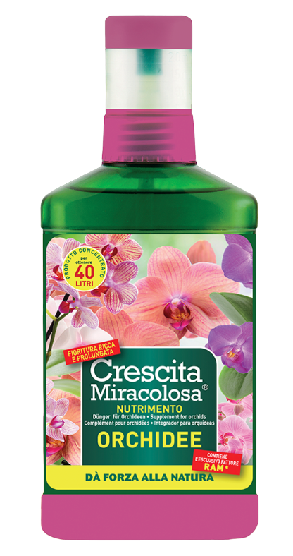 Crescita miracolosa nutrimento orchidee